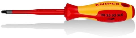 WKRĘTAK PLUS-MINUS SLIM Z IZOLACJĄ 100 MM PZ2 WKRĘTAK PLUS-MINUS SLIM Z IZOLACJĄ 100 MM PZ2